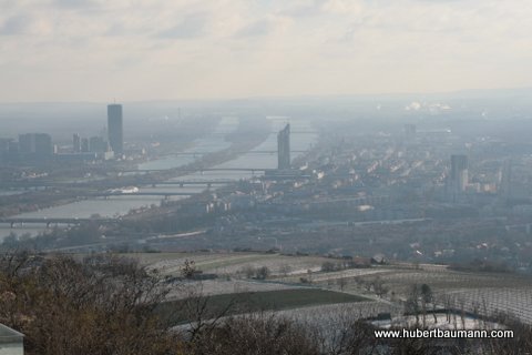 Blick auf Wien / Donau