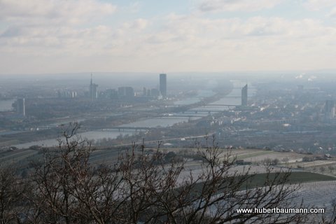 Blick auf Wien und die Donau