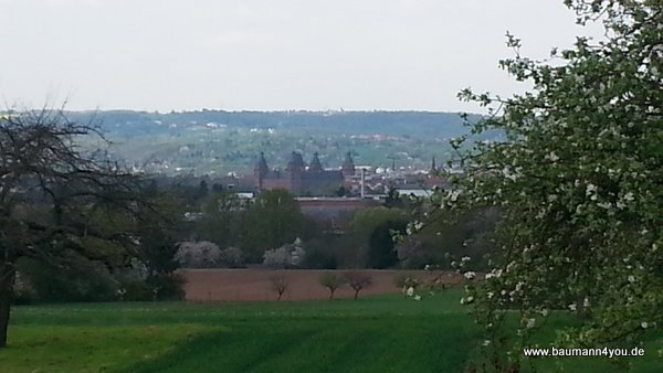 Blick auf Aschaffenburg mit Schloss Johannisburg von Schweinheim