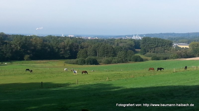An der Schellenmuehle - Blick nach Aschaffenburg